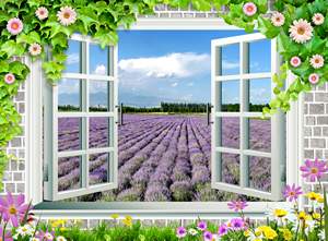 Cửa Sổ Vườn Hoa tím lavender 442 – File gốc tranh tường trang trí