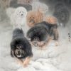 Tranh Đàn Chó trên tuyết 489 - File gốc tranh con Thủy Mặc