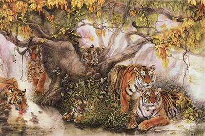 File tranh Ngũ Hổ Tướng 496 – File gốc tranh 5 con Hổ trong rừng