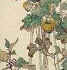 Đàn Chim Bồ Câu Và Cây Bí 545 - File gốc Tranh Hoa Cỏ