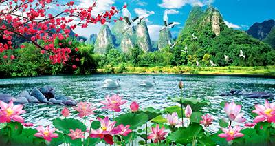 Tranh Hồ Sen Thiên Nga 786 – File gốc JPG Tranh Phong Cảnh